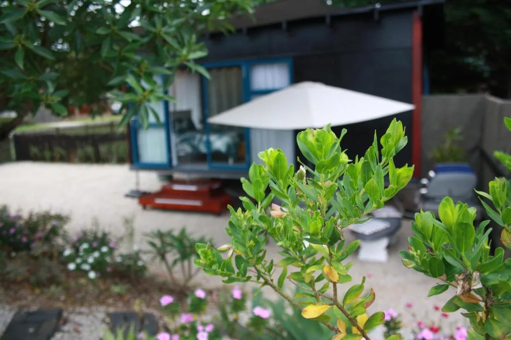 Garden courtyard with flowering plants, white umbrella, and blue-trimmed studio building