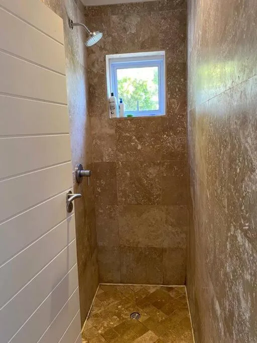 Modern walk-in shower with brown tile walls and window with garden view