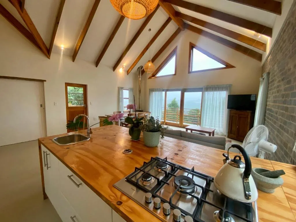Modern kitchen with gas cooktop, wooden counters, and scenic garden views
