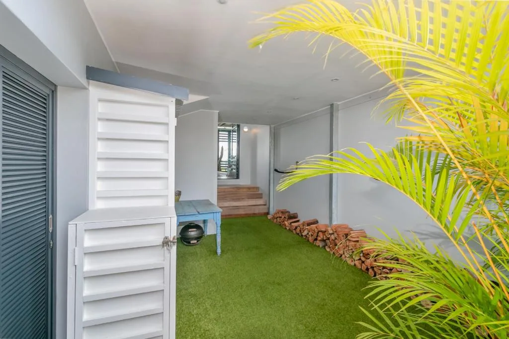 Covered outdoor deck with artificial turf, tropical plants, and braai area