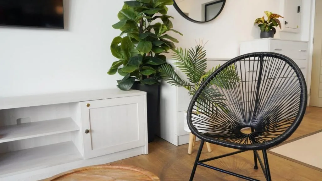 Modern lounge area with black woven chair, white storage units, and potted plants
