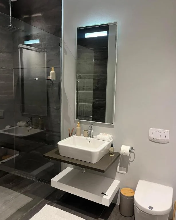 Modern bathroom with vessel sink, mirror, and walk-in shower enclosure