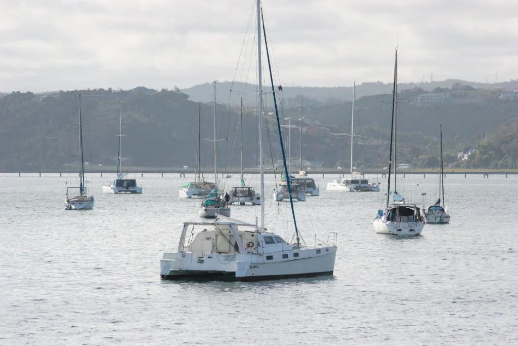 Scenic anchorage with moored sailboats and tree-covered hills beyond