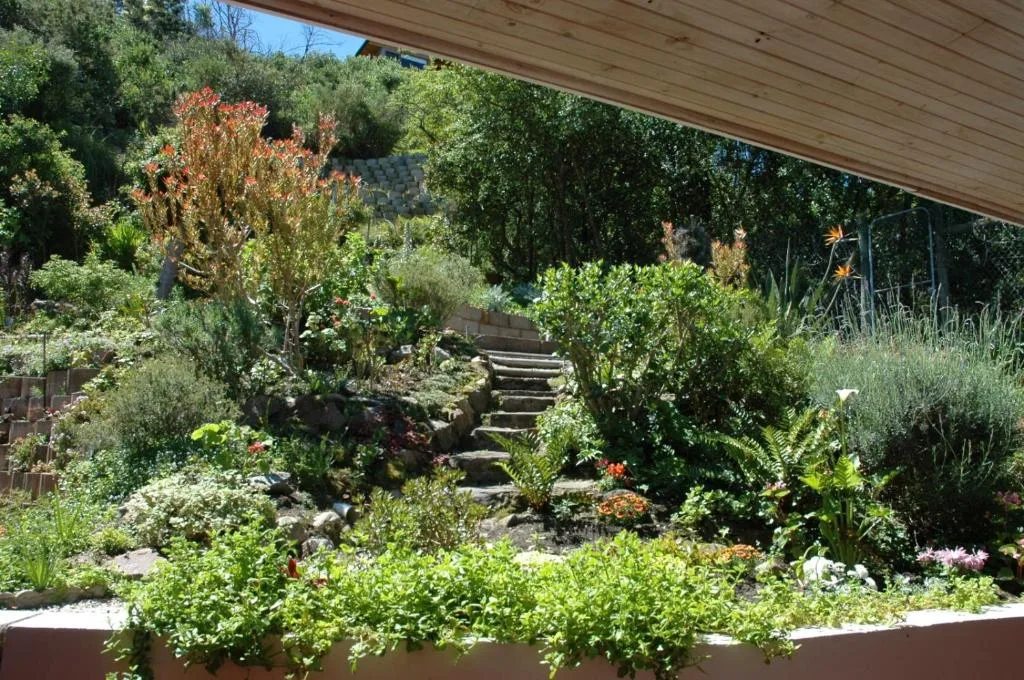 Lush garden patio with stone steps, flowering plants, and wooden deck overhang