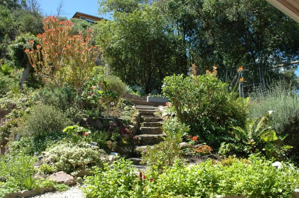 Lush garden with stone steps leading through flowering plants and trees