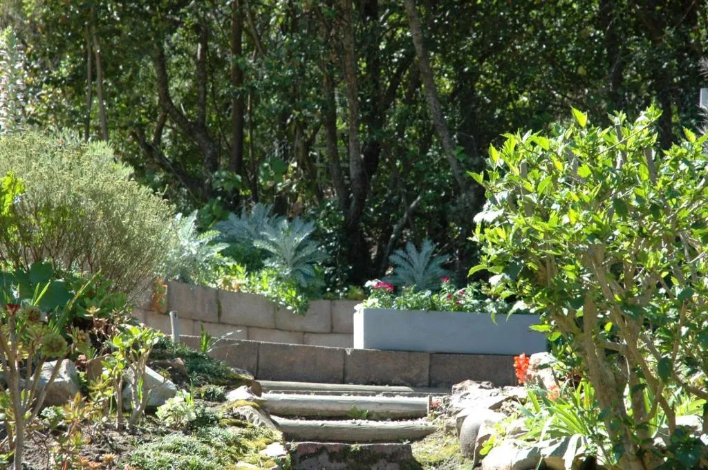 Lush garden with concrete steps, stone walls, and mature trees