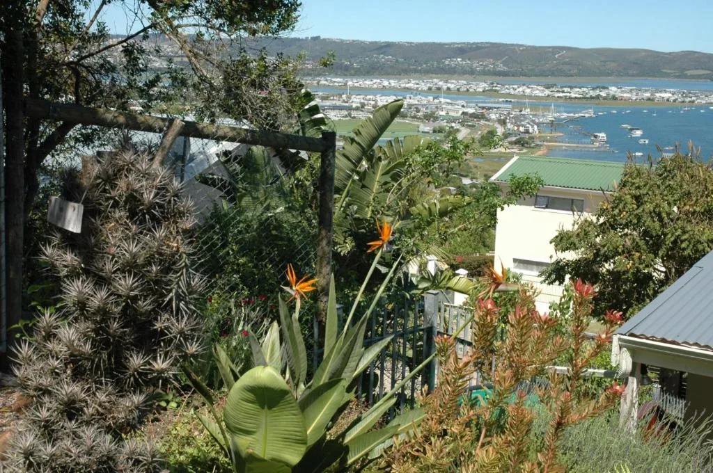 Panoramic lagoon and coastal town vista from elevated garden setting
