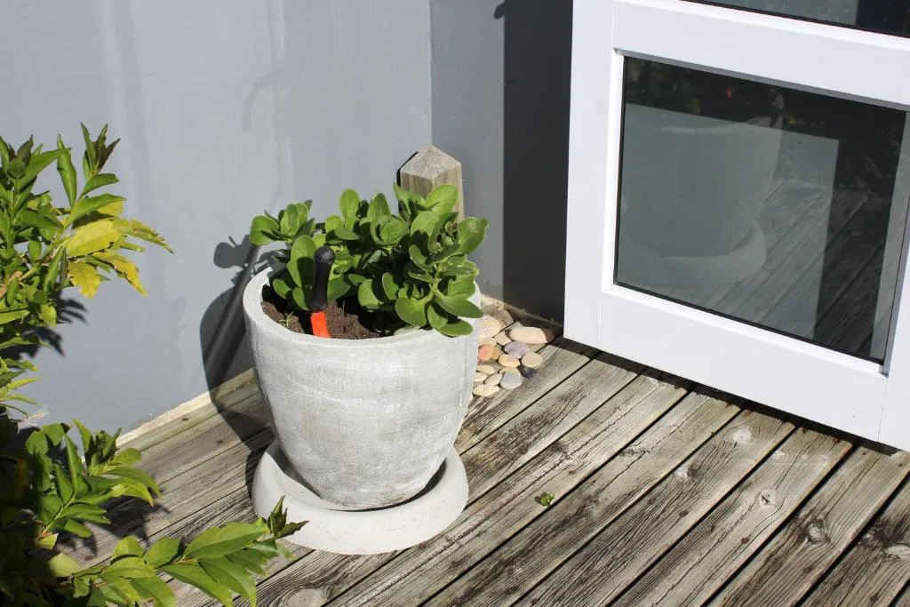 Wooden deck with potted plants and modern white building entrance