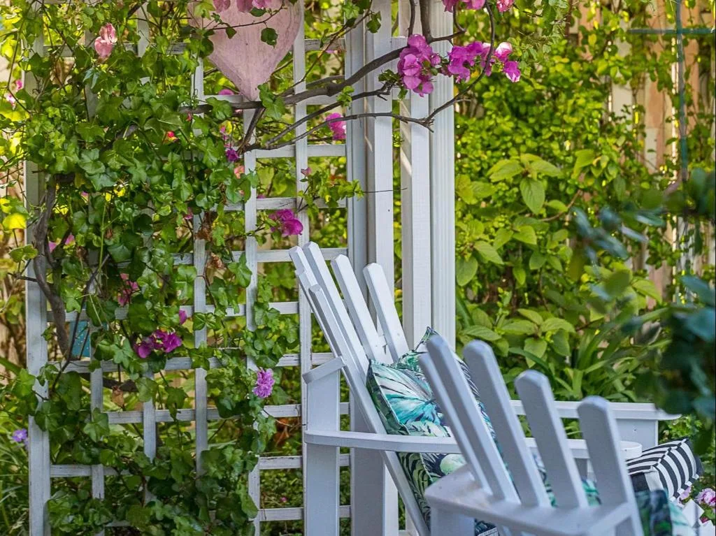 White Adirondack chairs on a garden deck surrounded by flowering vines
