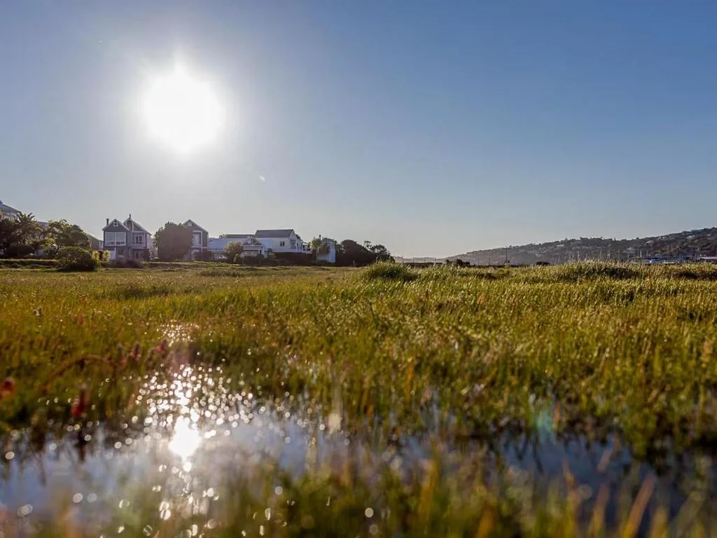 Wetland marsh view with distant properties and mountains under bright sunlight