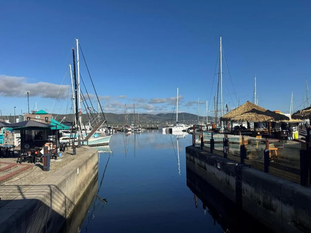 Scenic marina view with sailboats and mountains across calm waterfront