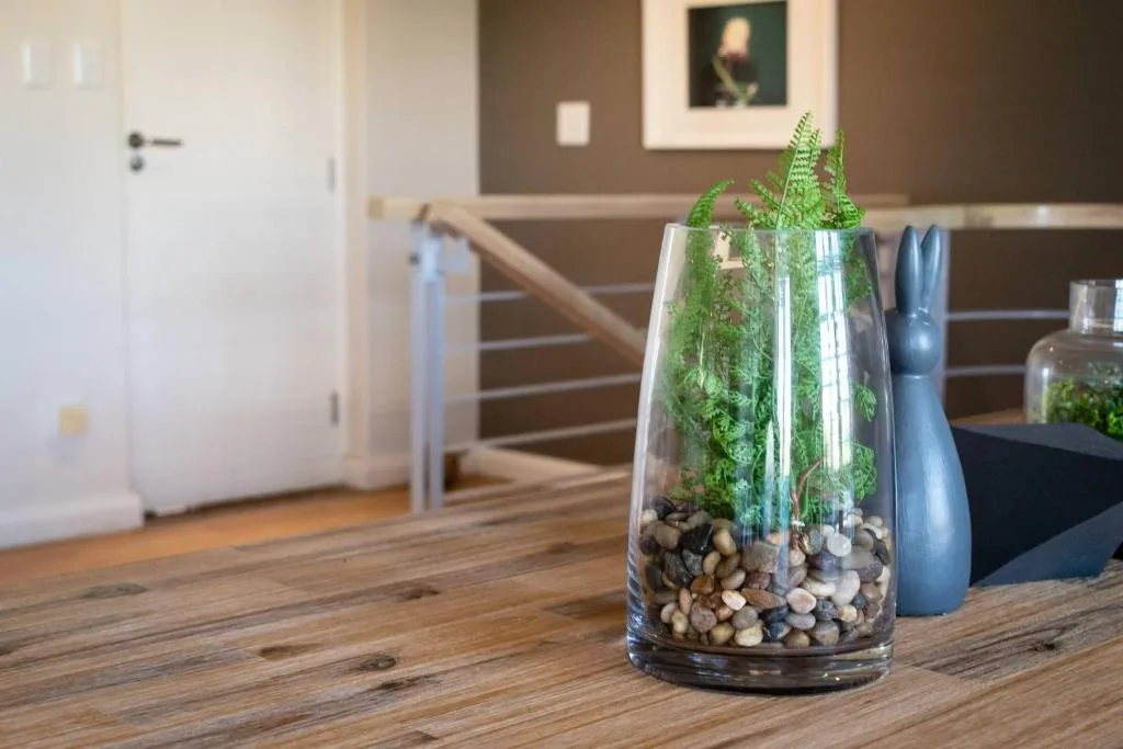 Decorative glass terrarium with ferns on wooden table indoors