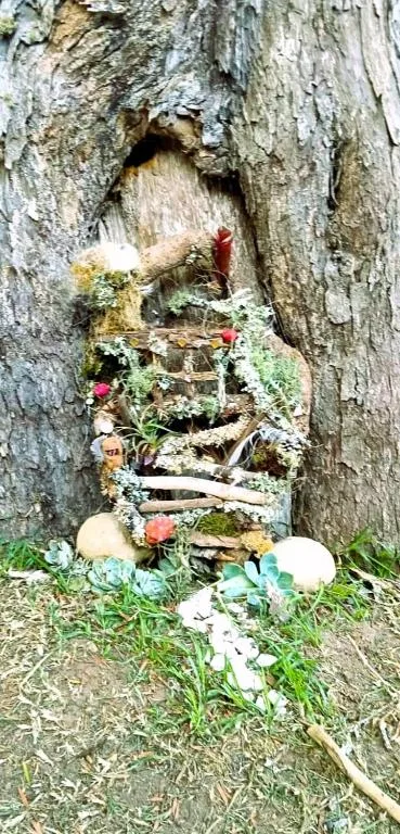 Rustic fairy garden with flowers nestled in hollow tree trunk