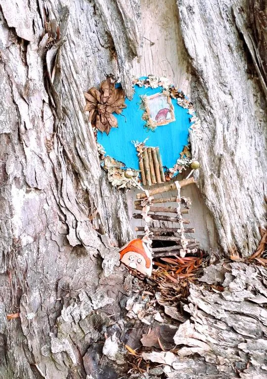 Whimsical fairy door craft adorning weathered tree bark outdoors