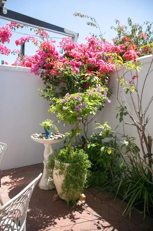 Shaded patio with vibrant pink bougainvillea flowers and potted plants