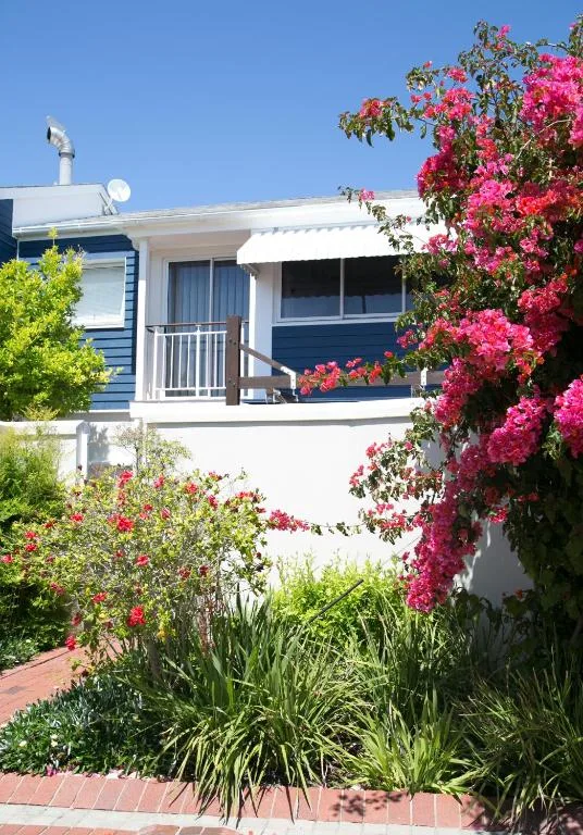 Modern waterfront cottage with vibrant pink bougainvillea and manicured garden landscaping