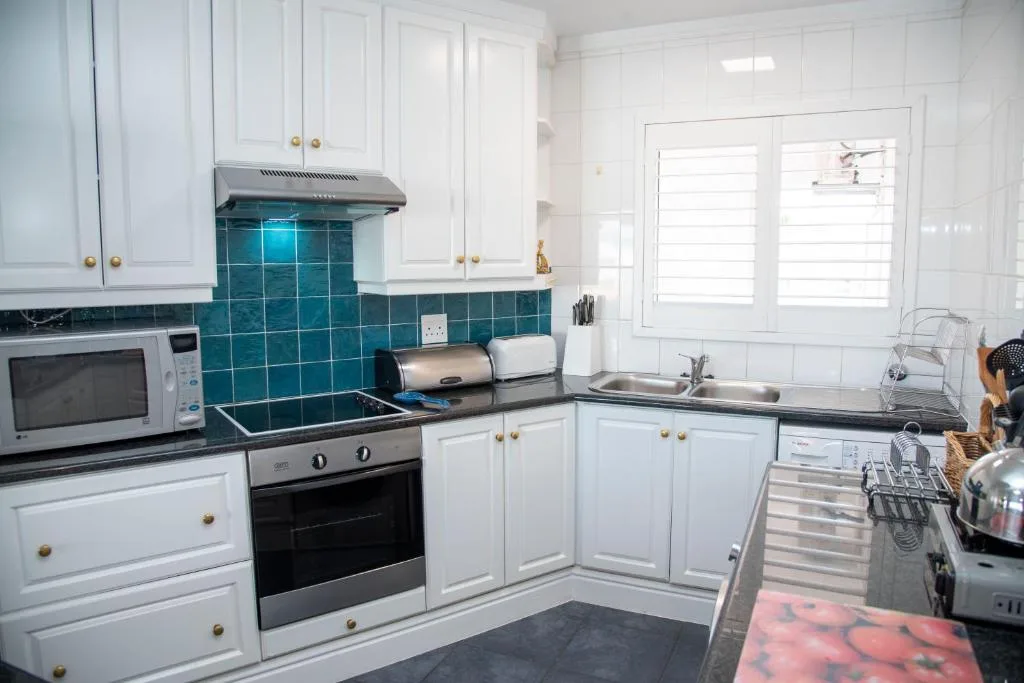 Modern kitchen with white cabinetry, teal tile backsplash, and stainless steel appliances