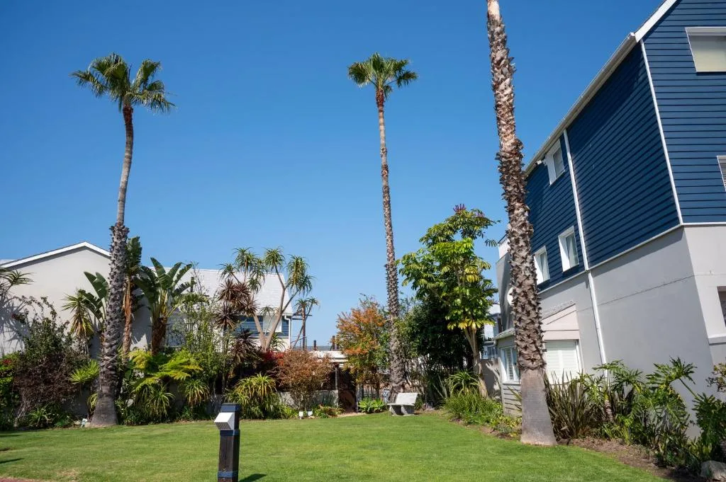 Modern holiday home with palm trees and manicured lawn garden