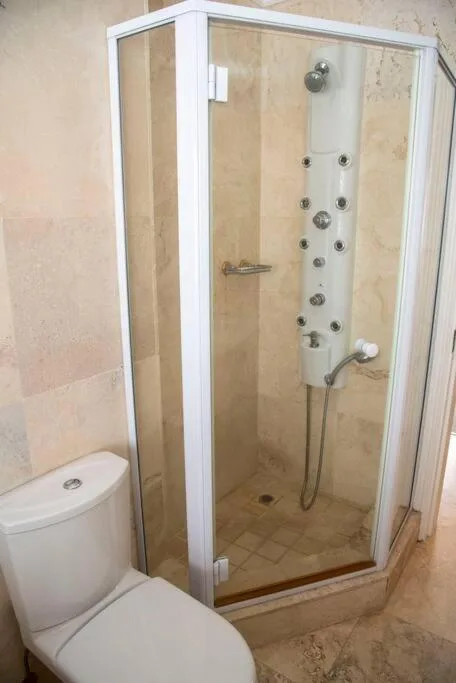 Modern shower enclosure with rainfall showerhead and adjacent white toilet fixture