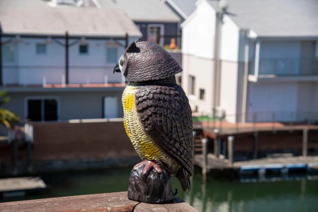 Decorative owl statue on wooden railing overlooking waterfront property