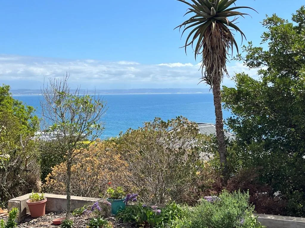 Panoramic ocean view from garden with palm tree and coastal landscape