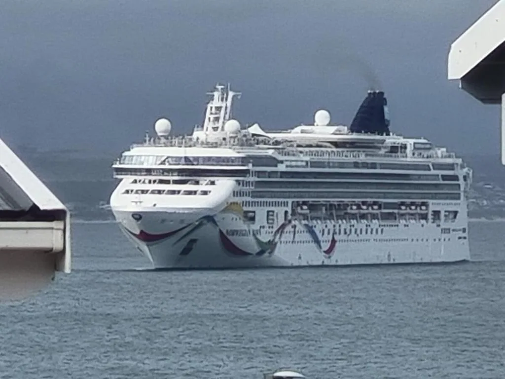 Large cruise ship anchored in Mossel Bay waters under cloudy skies