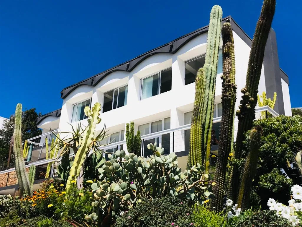 Modern white building with black roof and succulent garden landscaping