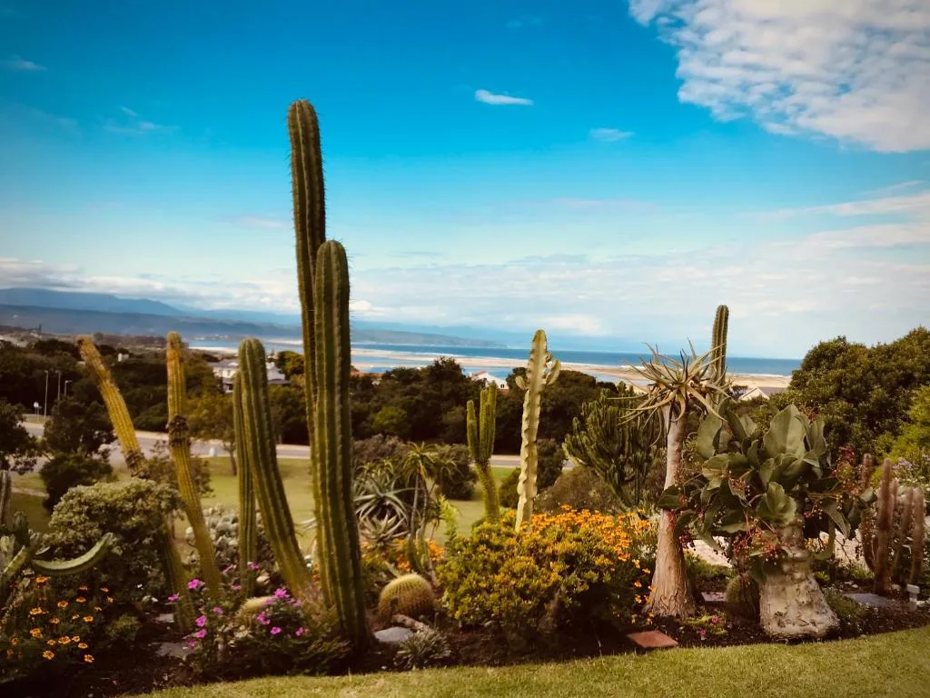 Coastal vista with cacti garden framing lagoon and mountains beyond