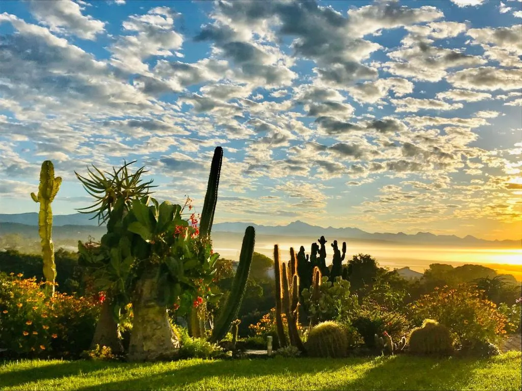 Sunrise view over misty valley with cacti garden and distant mountains
