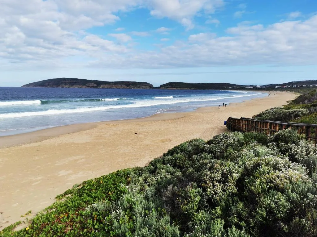 Expansive beach view with sand, waves, coastal vegetation, and rocky islands