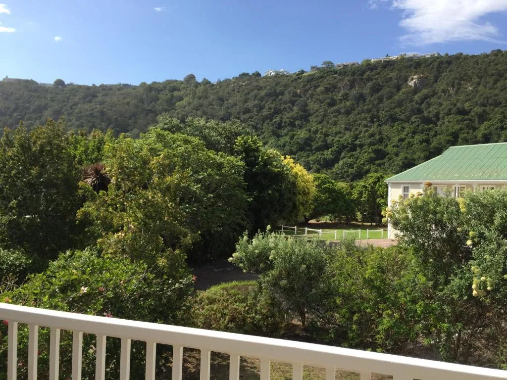 Lush forested hillside with property visible among native vegetation