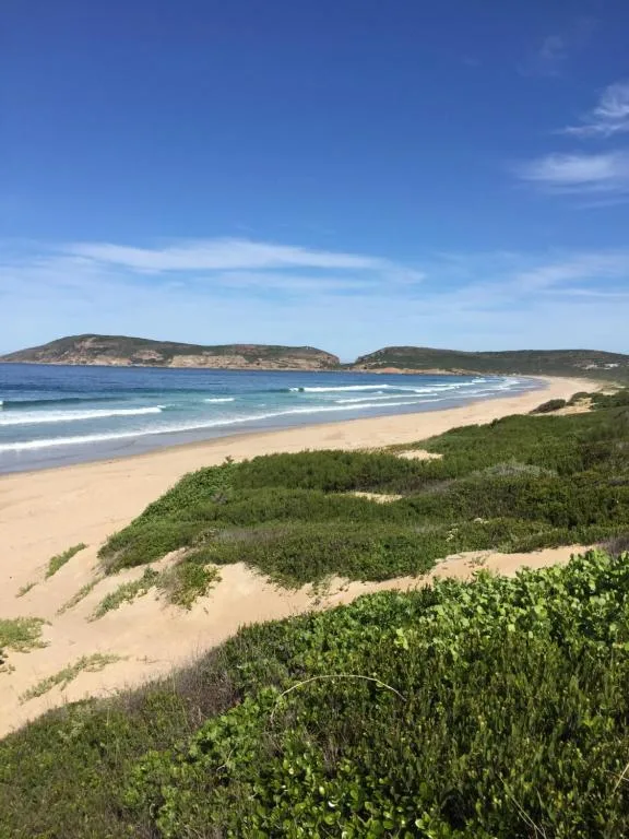 Pristine sandy beach with turquoise waves and green coastal vegetation under blue sky