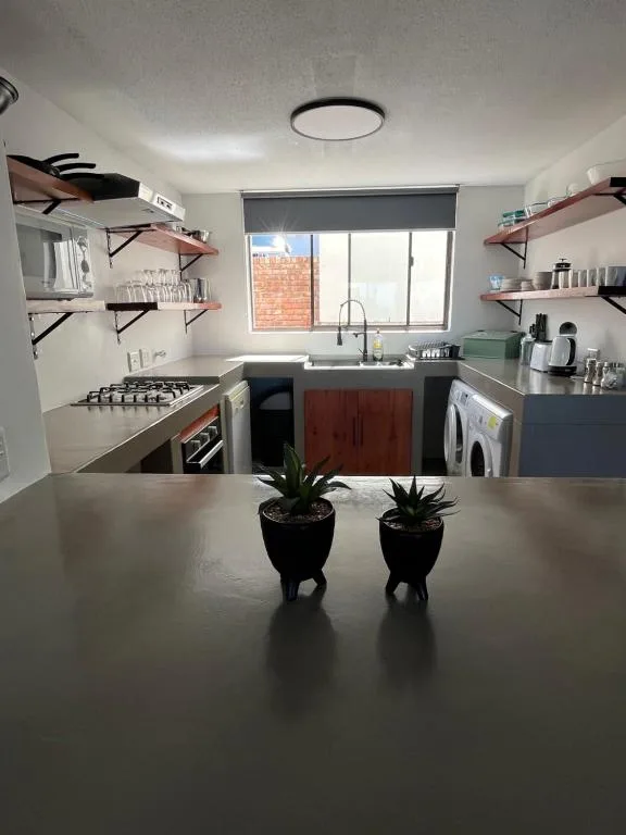 Modern kitchen with gas stove, sink, open shelving, and counter seating