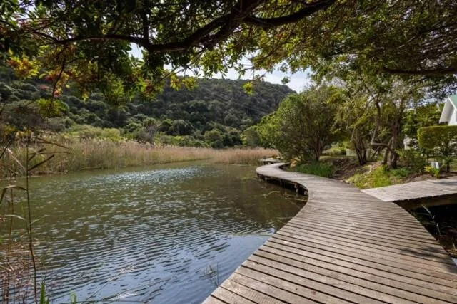 Scenic lagoon view with wooden boardwalk and forested hillside backdrop