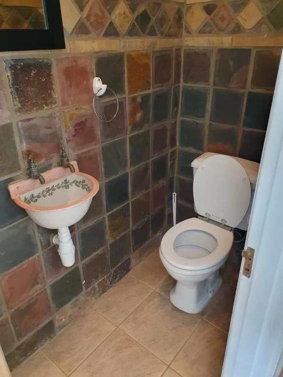 Bathroom with decorative sink, toilet, and colorful tiled walls