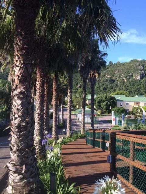 Wooden deck with palm trees overlooking river valley and gardens