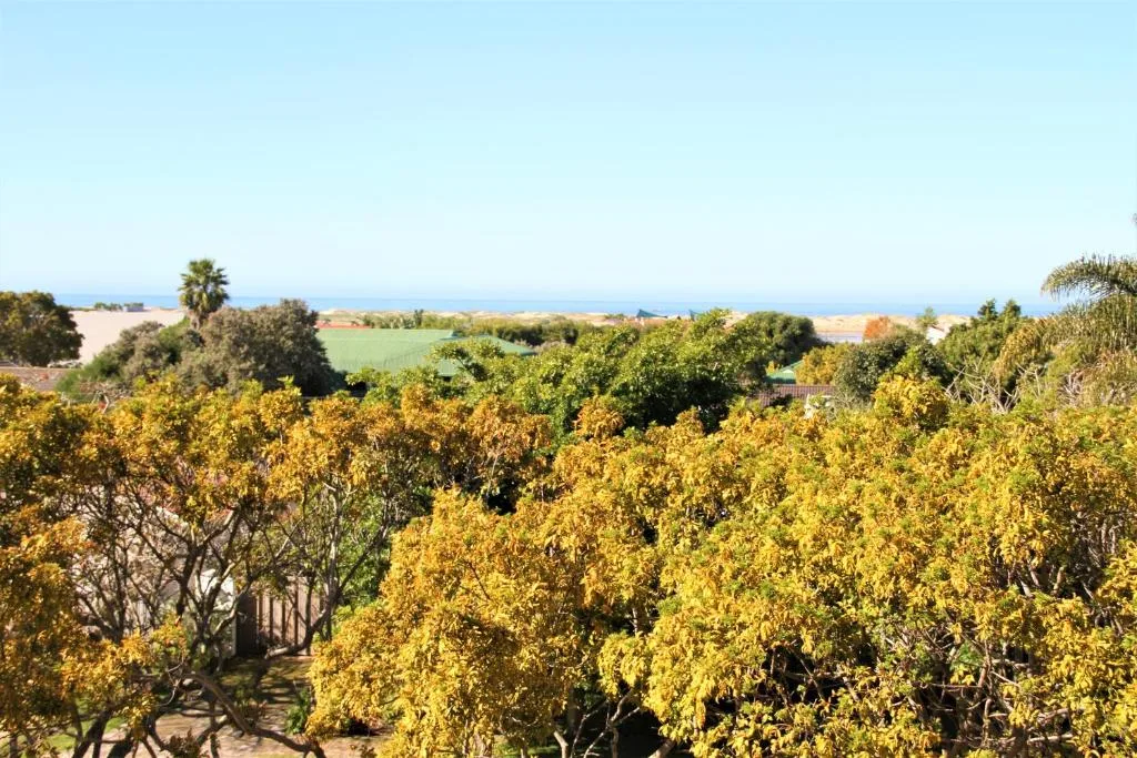 Scenic coastal view with golden trees, lagoon, and ocean horizon