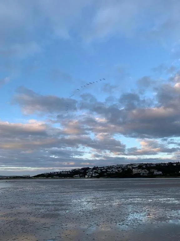 Scenic lagoon view with residential hills and dramatic cloudy sky