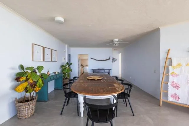 Open-plan dining area with wooden table and black chairs, plants and decor