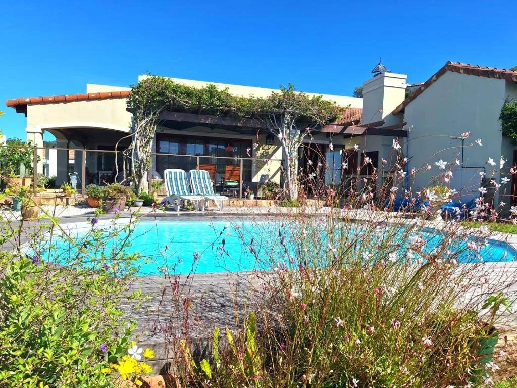 Bright blue swimming pool with loungers and vine-covered pergola beside house