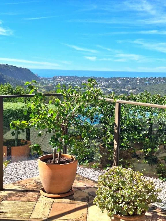 Scenic hillside town vista from elevated deck with potted plants