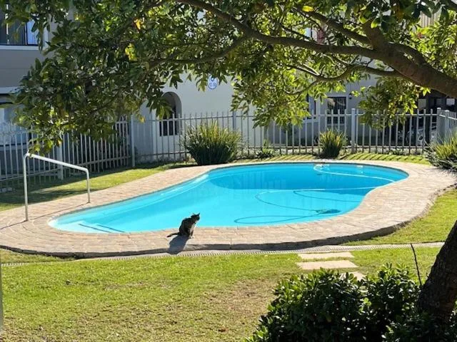 Kidney-shaped swimming pool with blue water and brick paving surrounded by manicured lawn