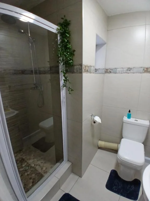 Modern bathroom with enclosed shower, white toilet, and decorative climbing plant