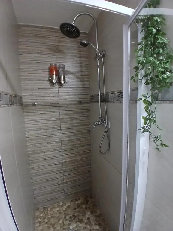Modern shower enclosure with rainfall showerhead and decorative green ivy plant