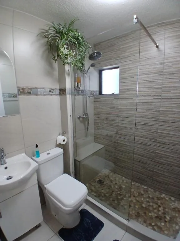 Modern bathroom with rainfall shower, toilet, vanity sink, and potted plant