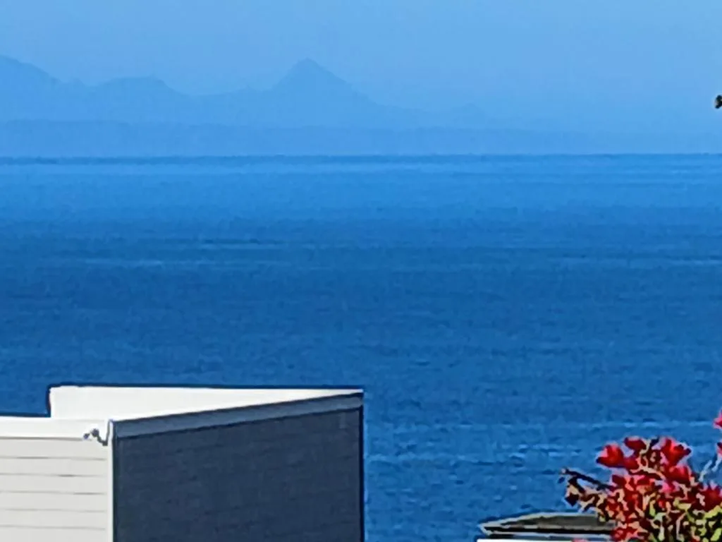 Expansive ocean view with distant mountains and flowering plants in foreground