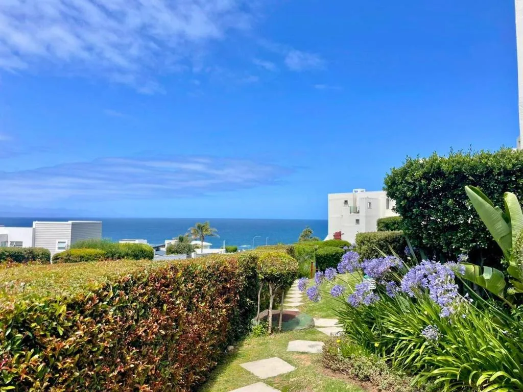 Ocean view from garden path with flowering agapanthus and hedges