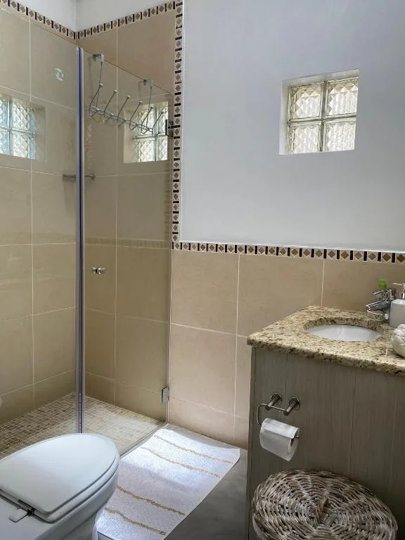 Modern bathroom with walk-in shower, vanity sink, and toilet