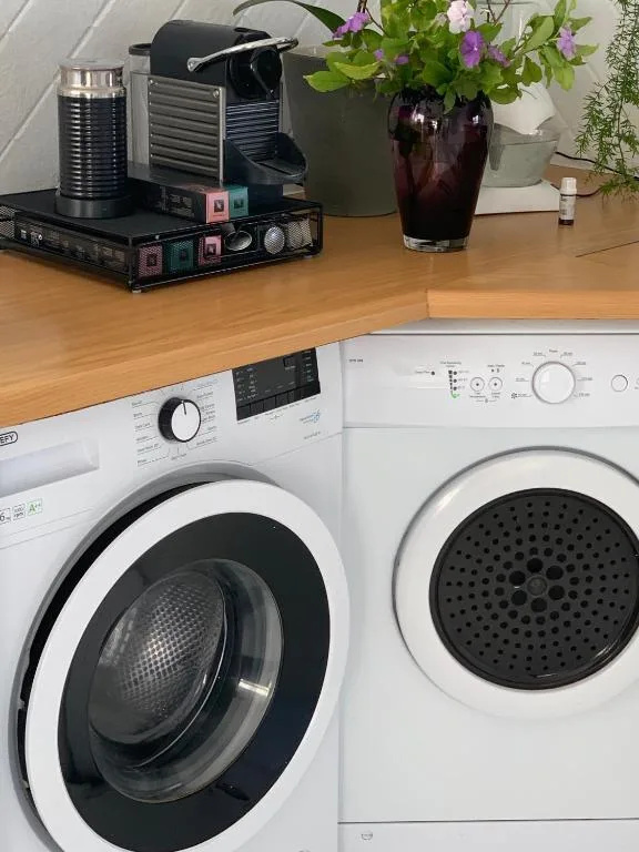 Modern laundry appliances with coffee maker and flowering plant decor