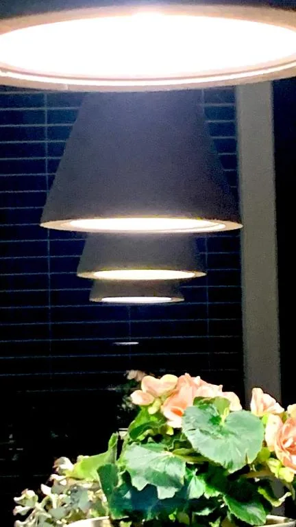 Modern pendant lights illuminate decorative flowers in evening setting